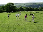 Click on thumbnail for larger photo